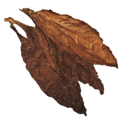 Табачный лист